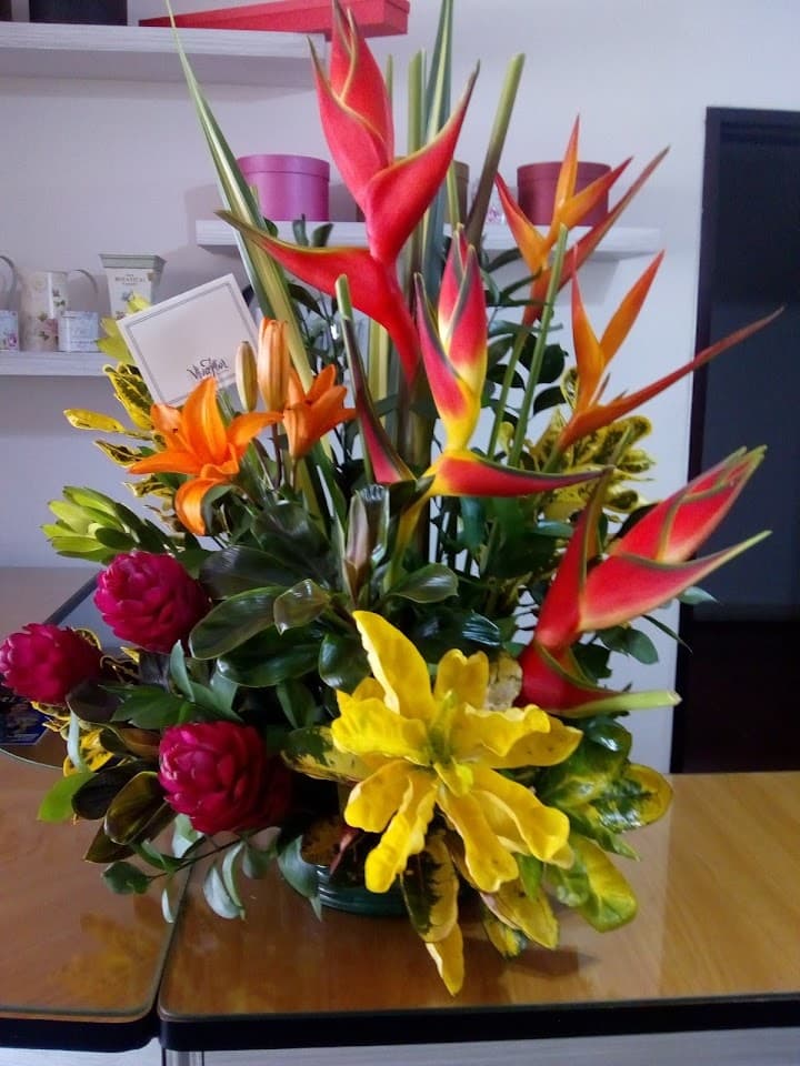 Viva Flor portfolio 5