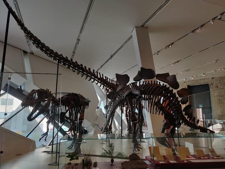 Royal Ontario Museum portfolio 5