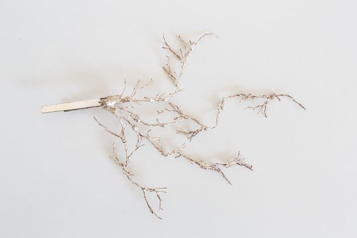 Naturae Design