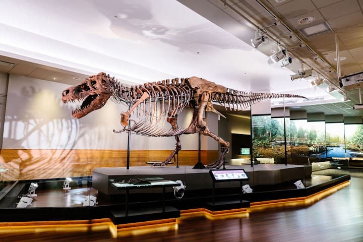 Field Museum portfolio 5