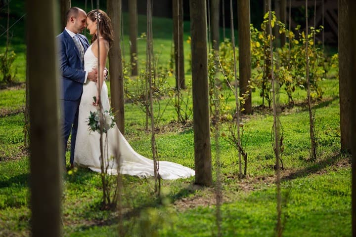 Dennis Pike Photography portfolio 1