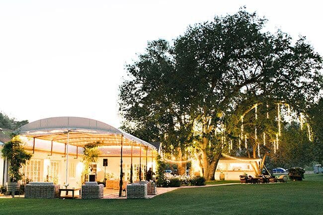 Triunfo Creek Vineyards portfolio 4