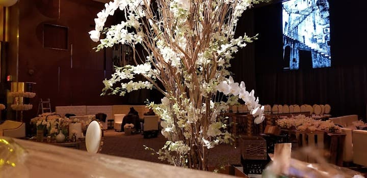 Ziegfeld Ballroom portfolio 4