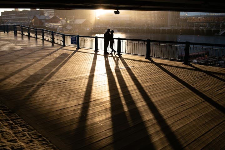 Zev Fisher Photography portfolio 2
