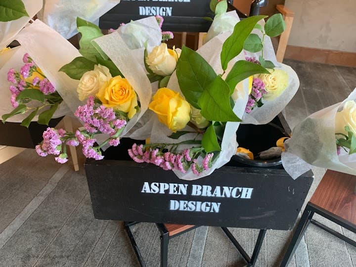 Aspen Branch portfolio 3