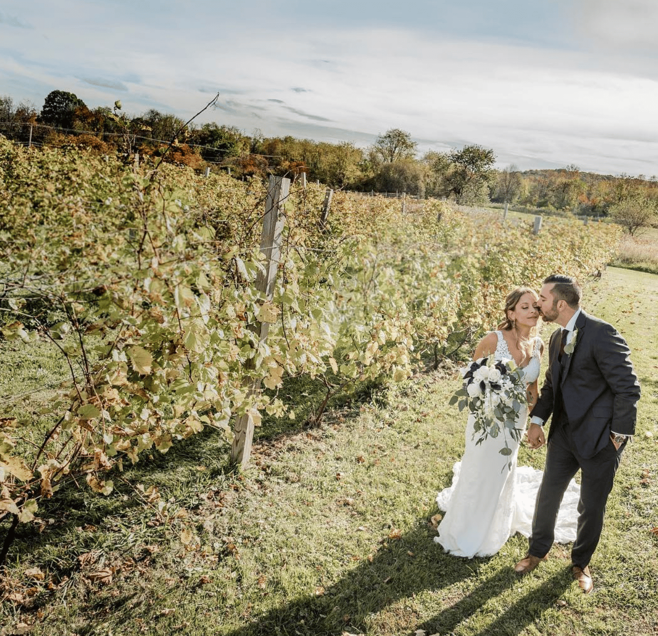 Red Maple Vineyard portfolio 3