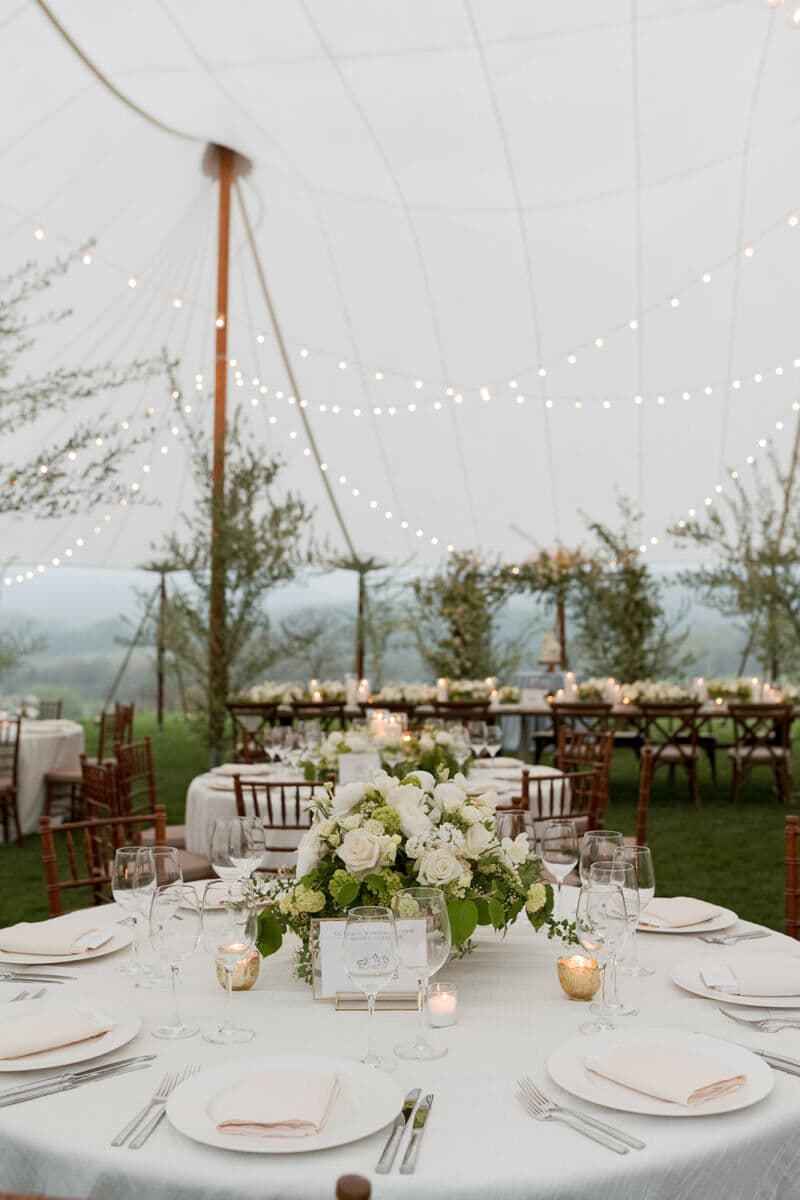 A Classic Spring Wedding at Pippin Hill Farm & Vineyards photo 2