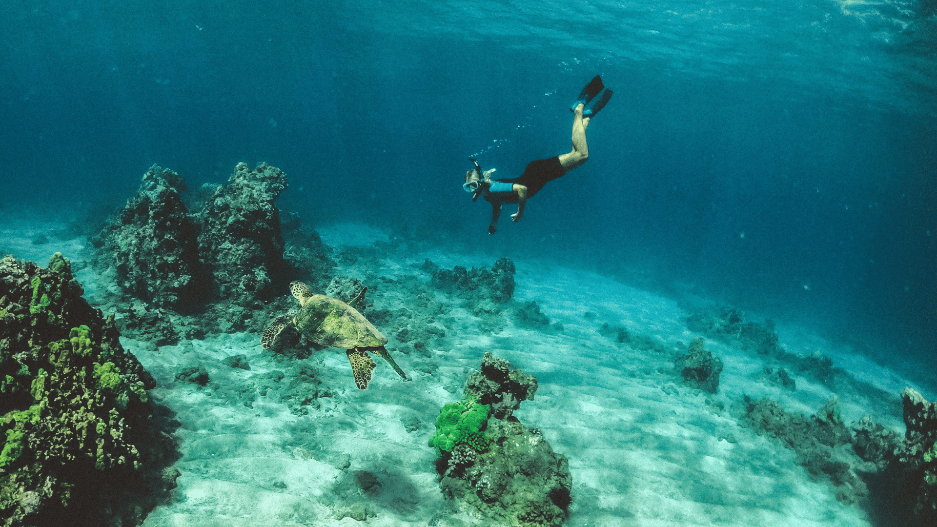 4 Things That'll Make You Want to Pack Your Bags for a Maui Honeymoon NOW