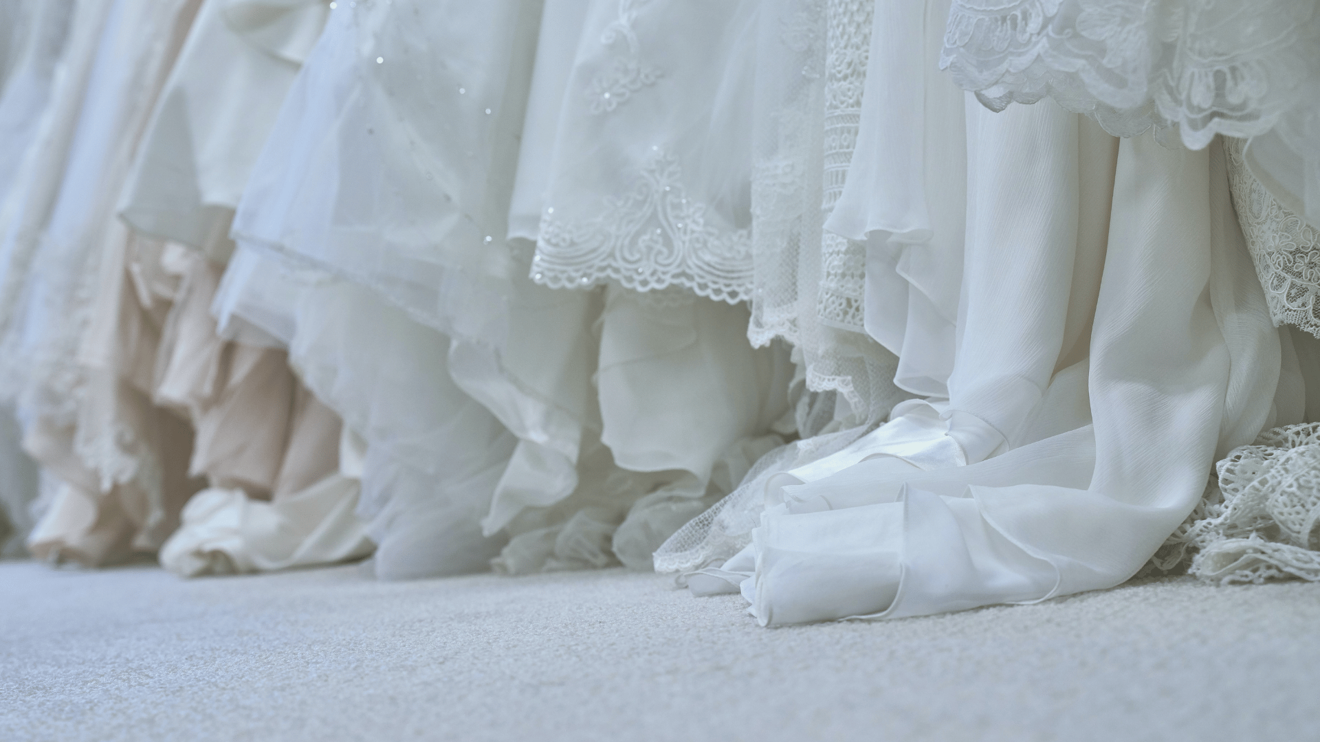 Everything You Need to Know About Steven Khalil Wedding Dresses