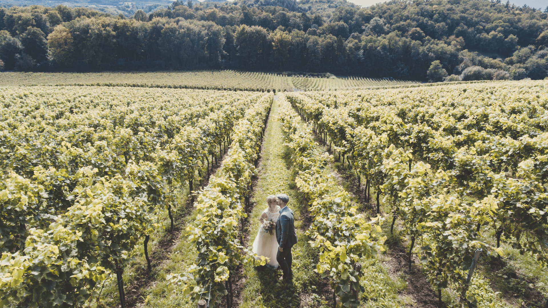 5 Ways to Go Green (and Save Some Green) at Your Wedding