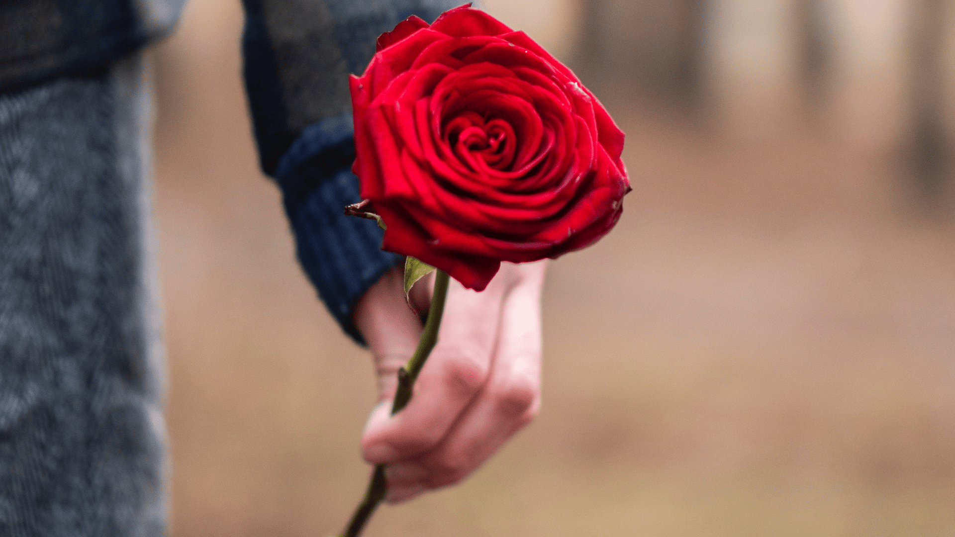 Why Getting Engaged on "The Bachelor" Is Awesome (and Why It's Kinda Awful)