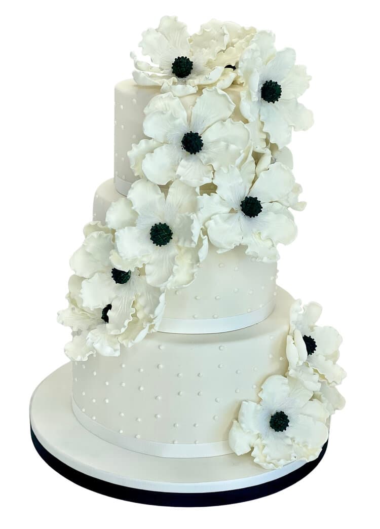 Cake By Jason Hisley portfolio 3