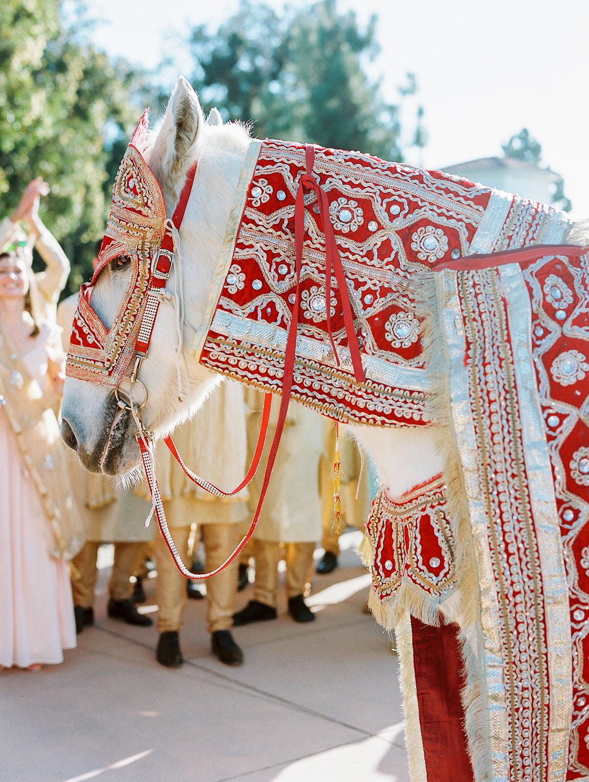 A Classic Winter Wedding at Omni La Costa Hotel 46