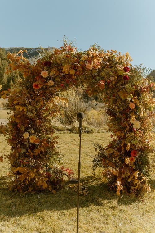 Tara Bella Flowers