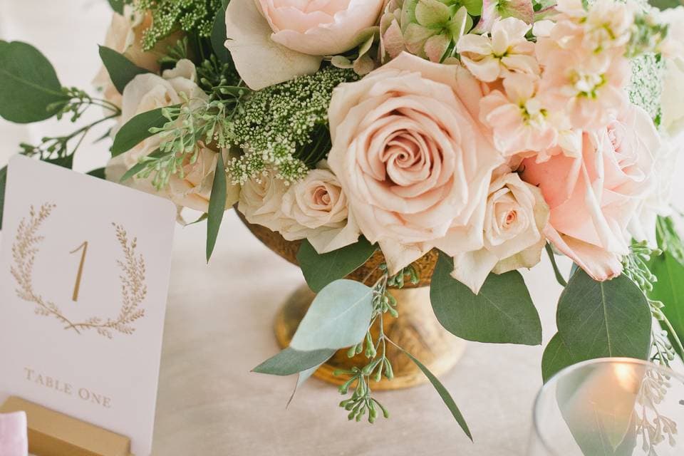 Floral & Bloom Designs