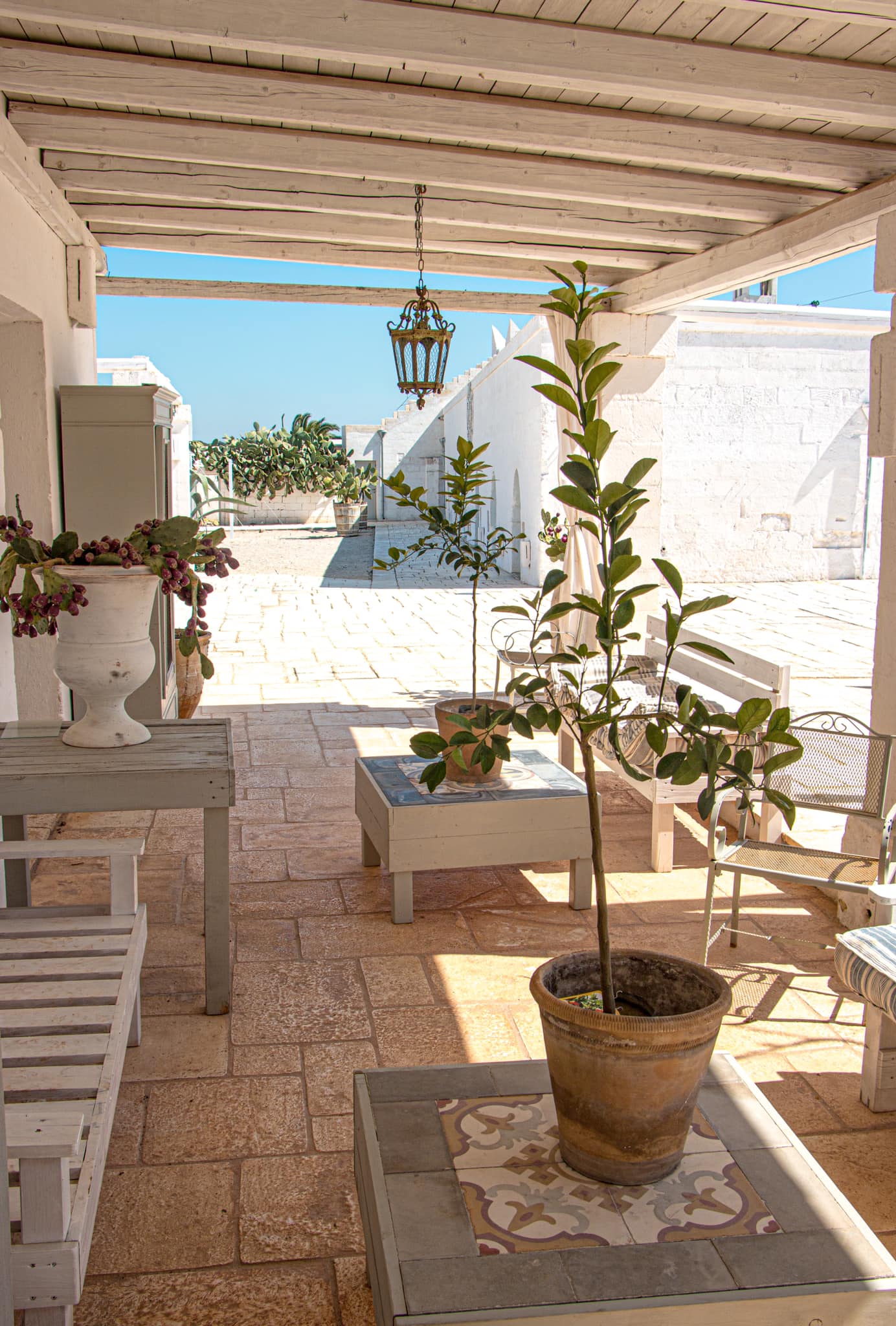 Masseria Potenti portfolio 2