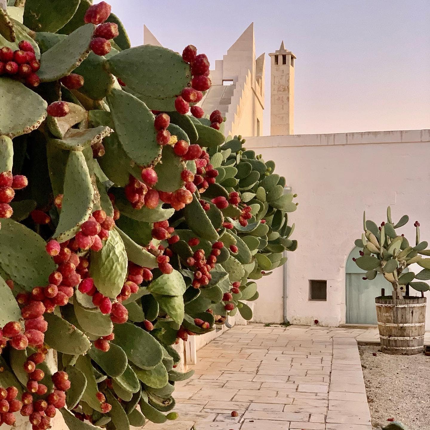 Masseria Potenti