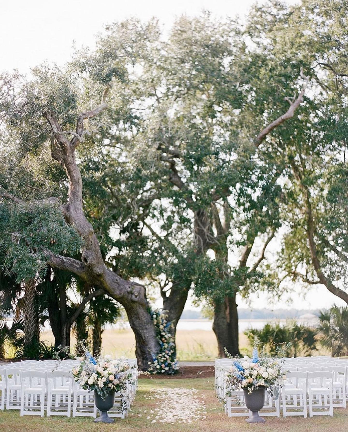 Festoon Charleston portfolio 4