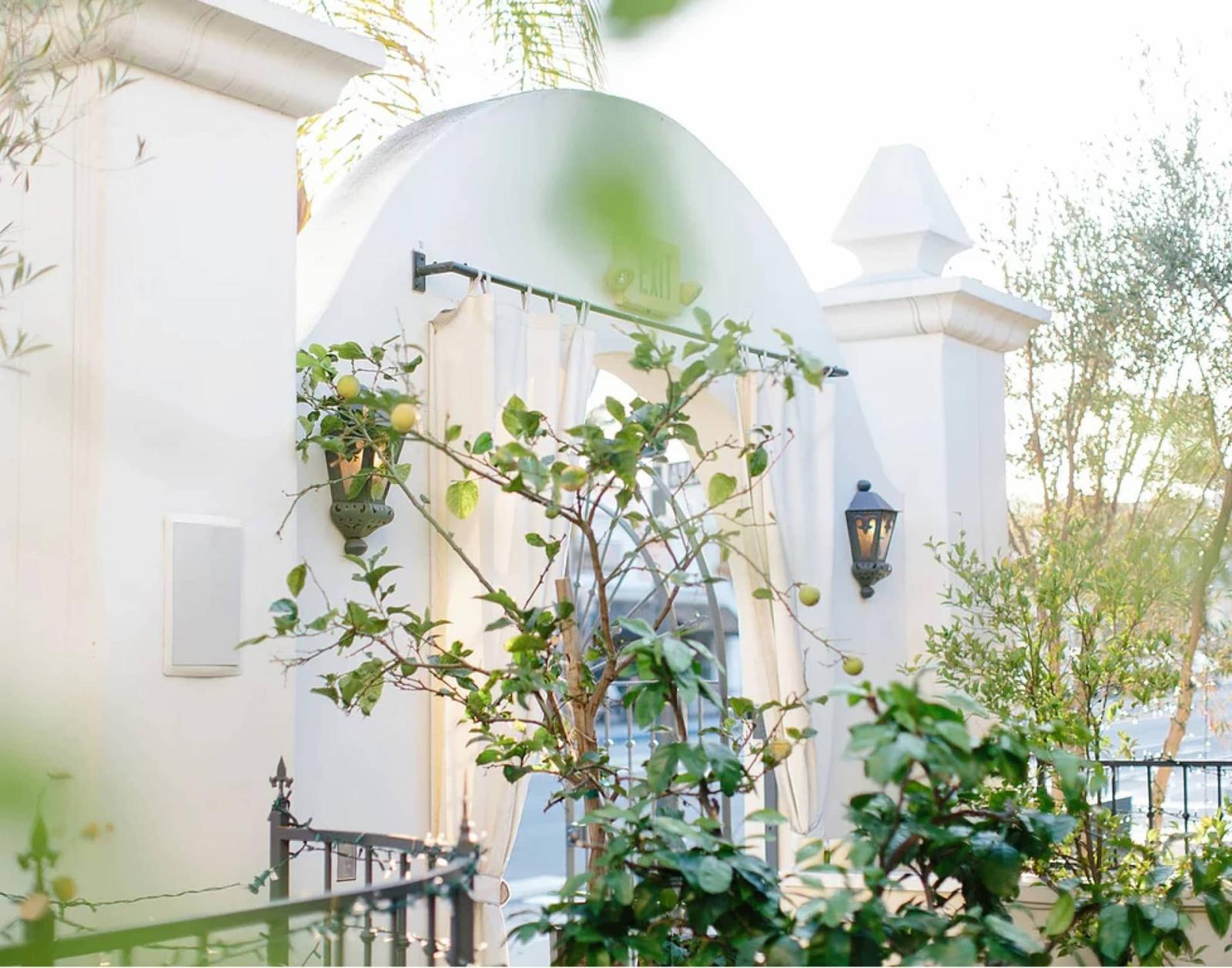 Villa and Vine