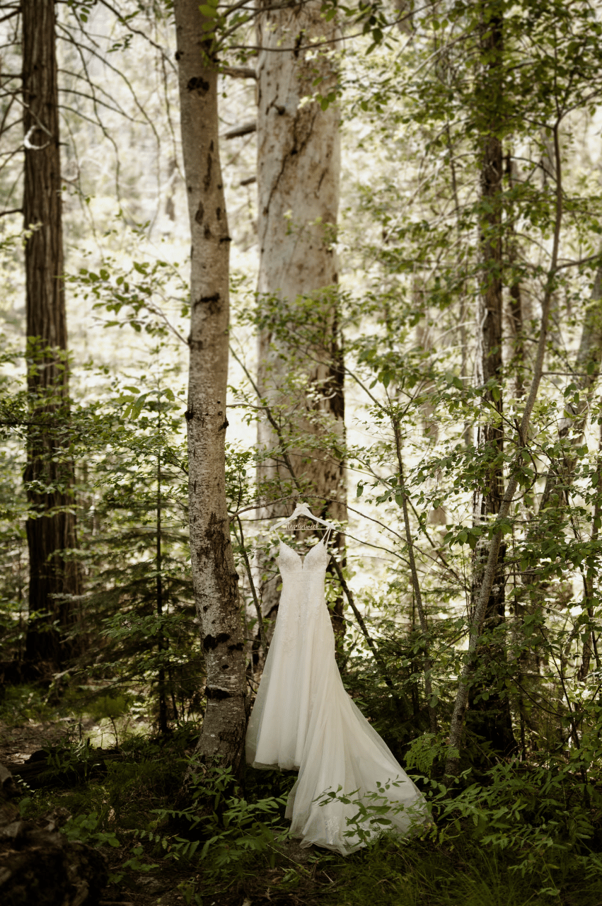 Oliver Wicks portfolio 4