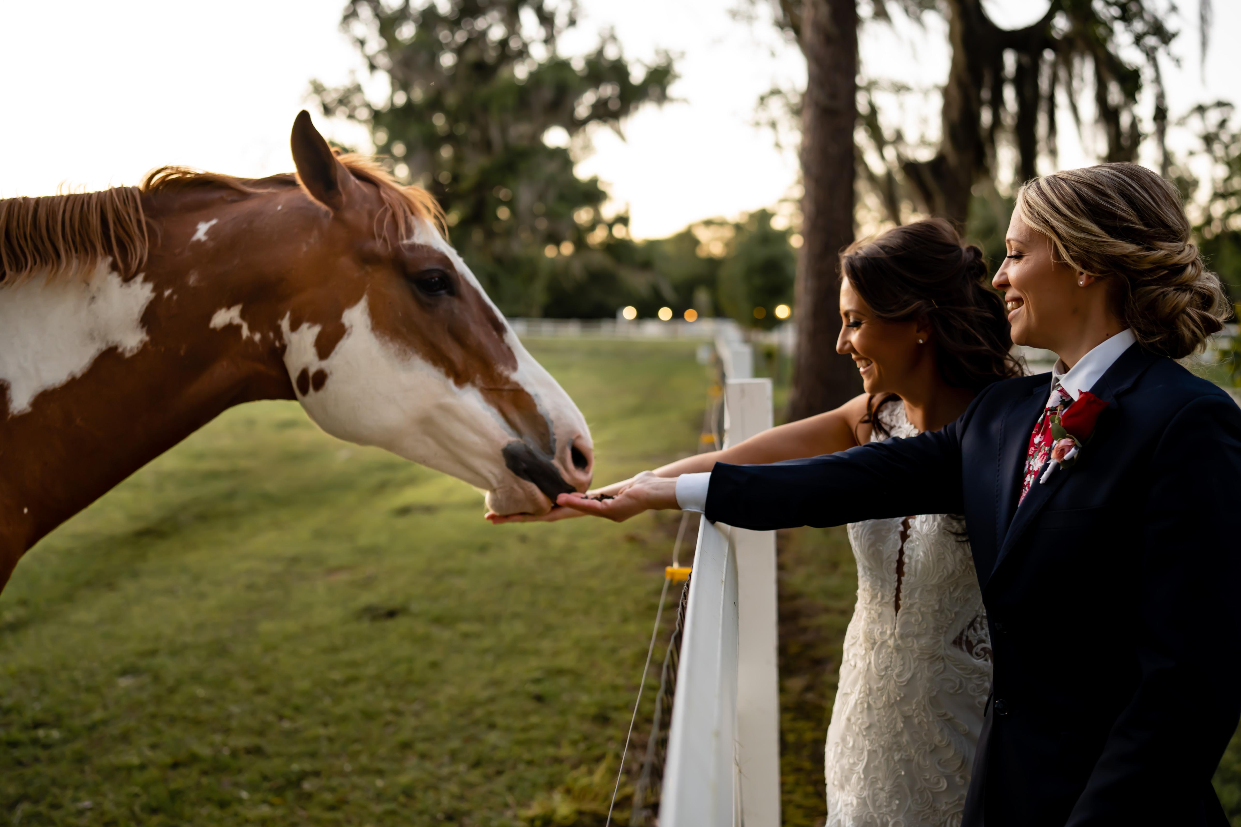 Brittany LaDue & Shay LaDue's wedding 11