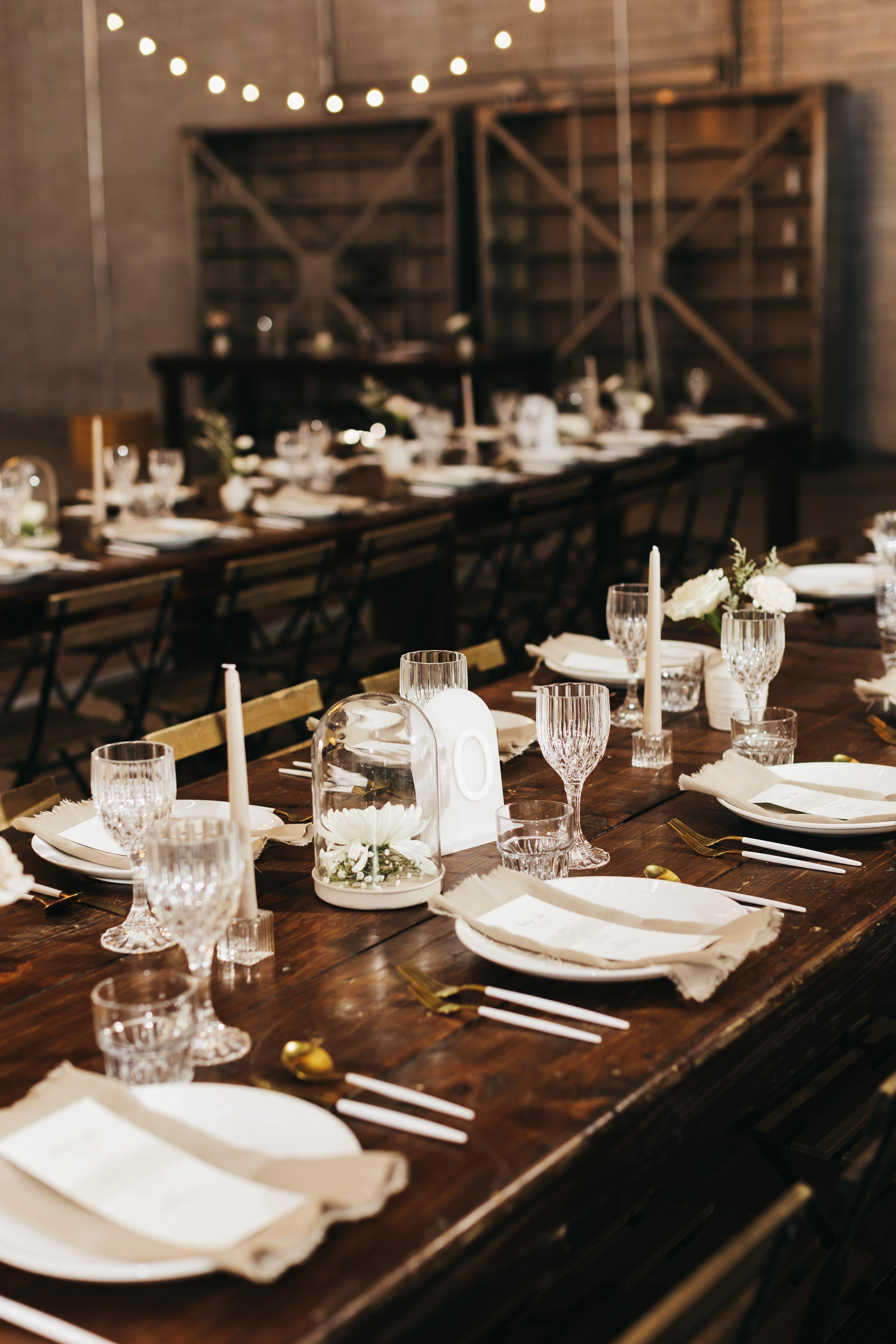 Bailey Netsch & Jake Tramutolo's wedding 15