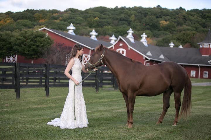 Kirby Hill Farm portfolio 4