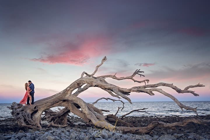 Sarah Hedden Photography portfolio 2