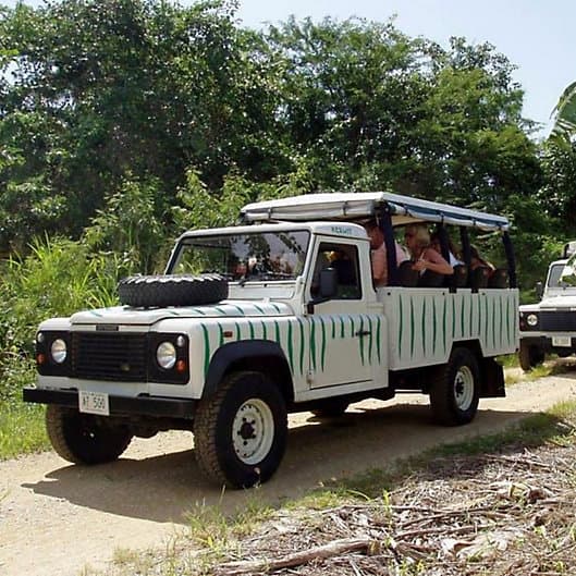 Saint Lucia Jeep Tour and Sea Safari