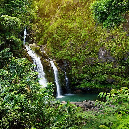 Maui Waterfall Hike and Chocolate Tour