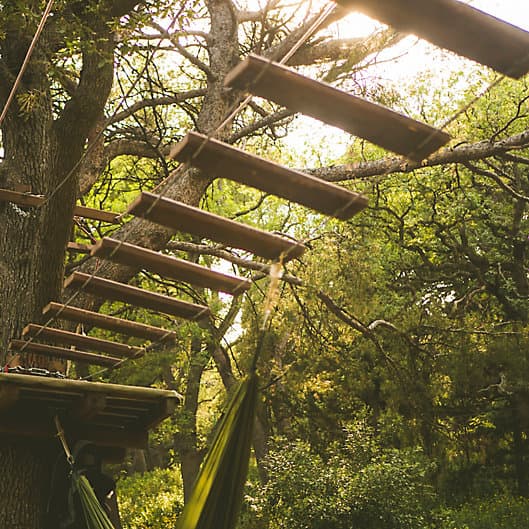 Alaska Rainforest Canopy Tour