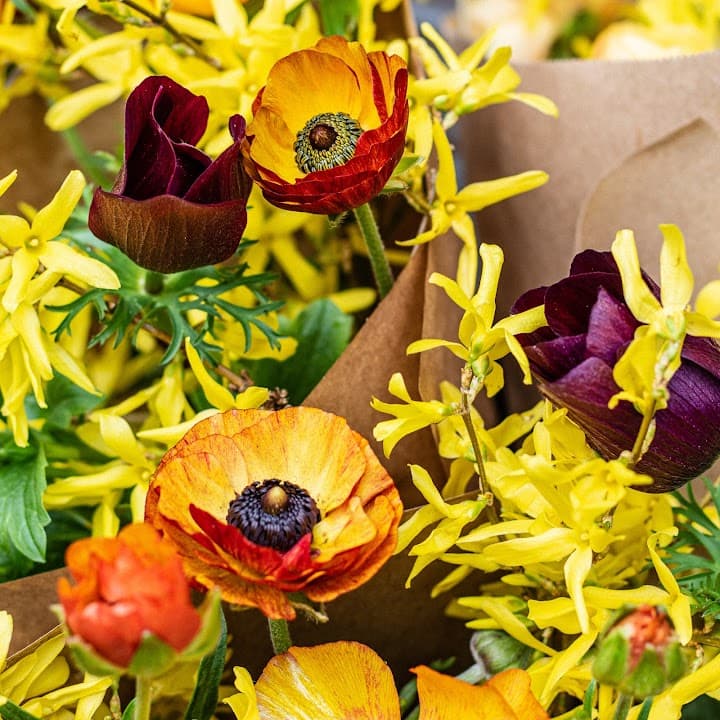 The Parcel Flower Co. portfolio 2