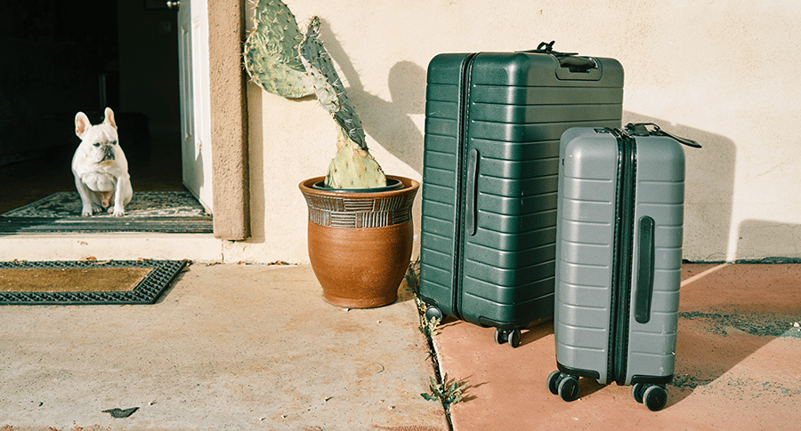The Must-Have Luggage