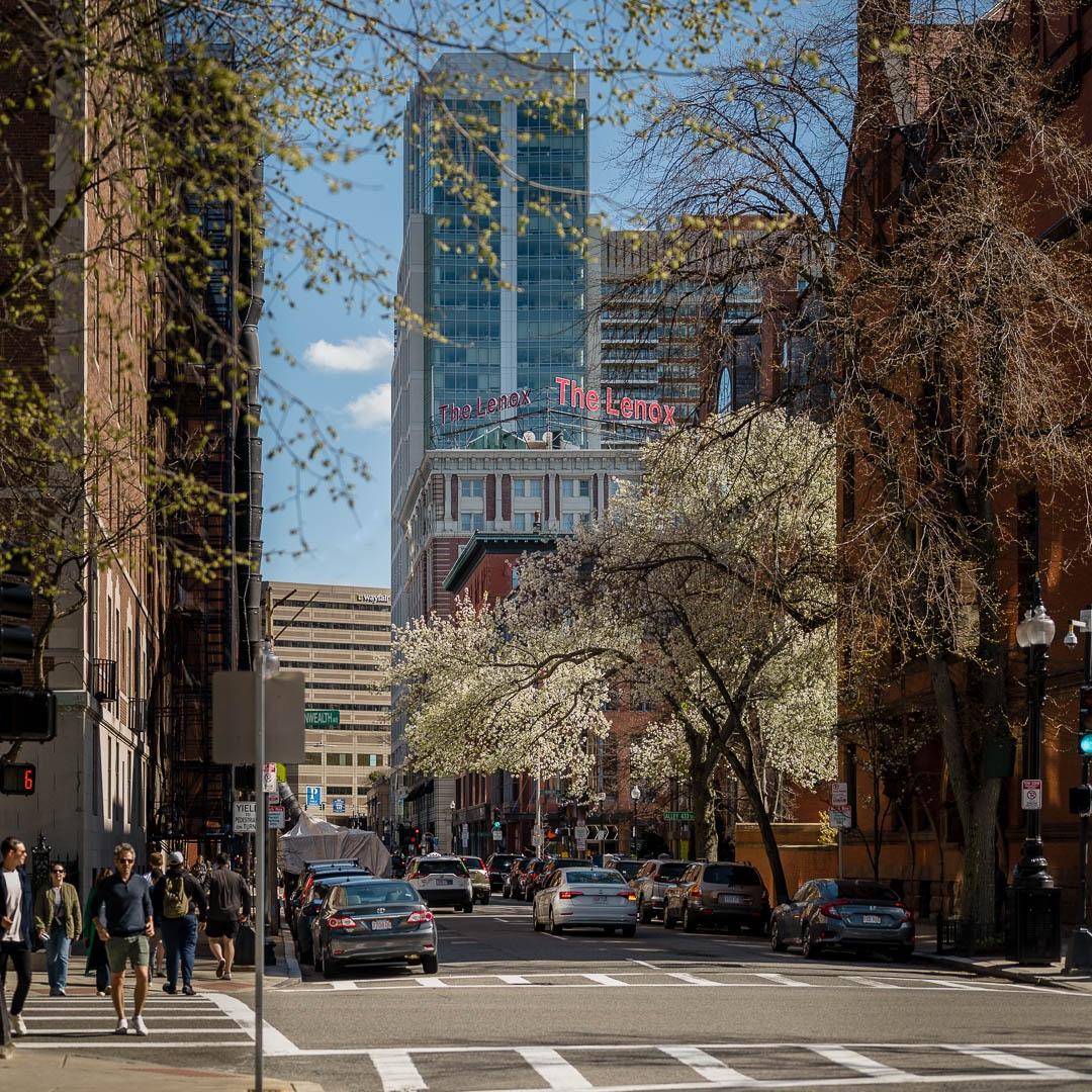 The Lenox Hotel portfolio 2