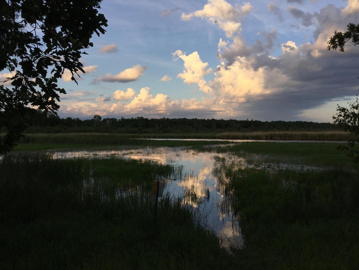 Camp Foley portfolio 3