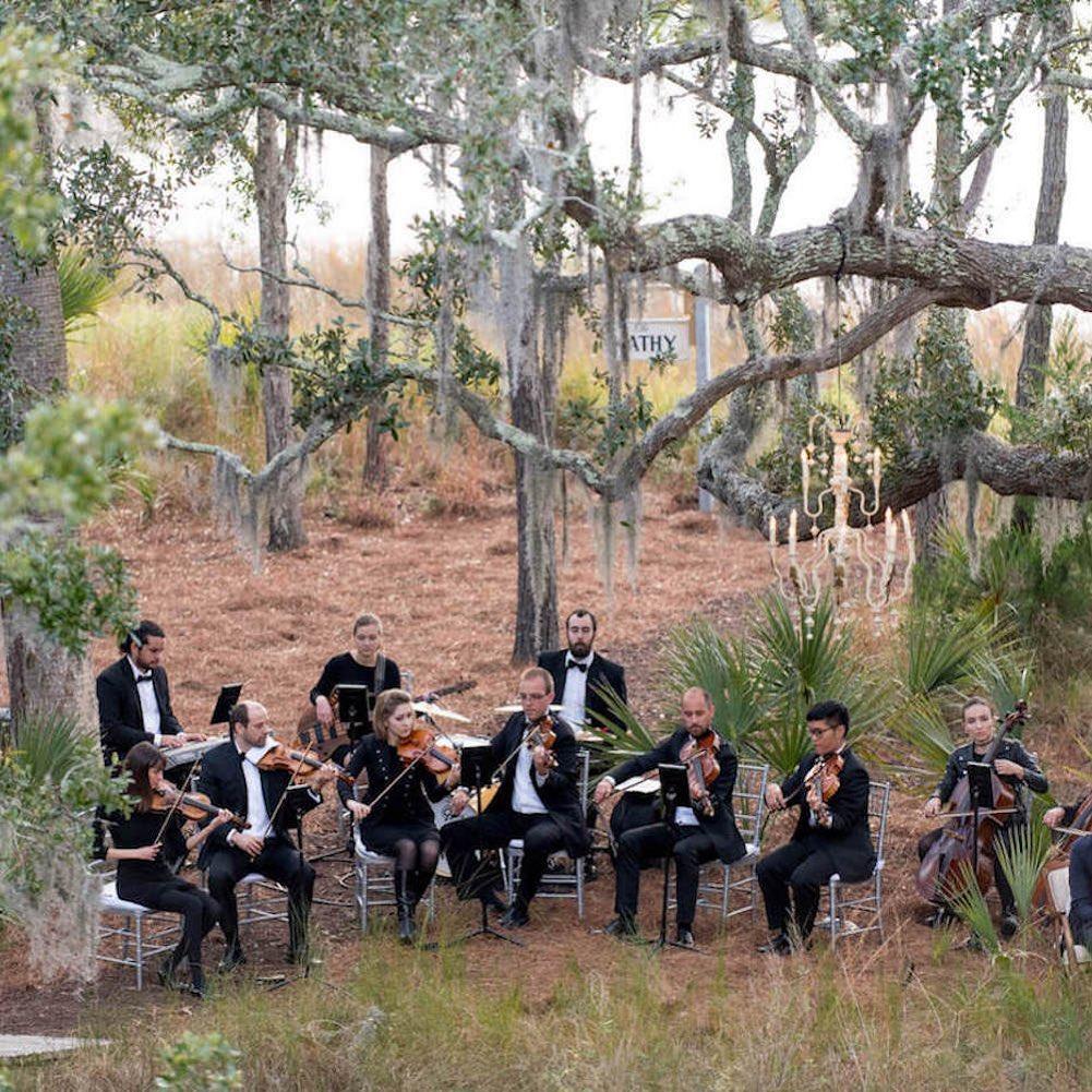 Charleston Virtuosi portfolio 1