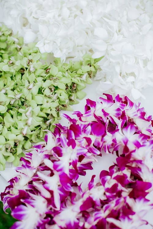 A Classic Fall Wedding at the White Orchid Beach House 21