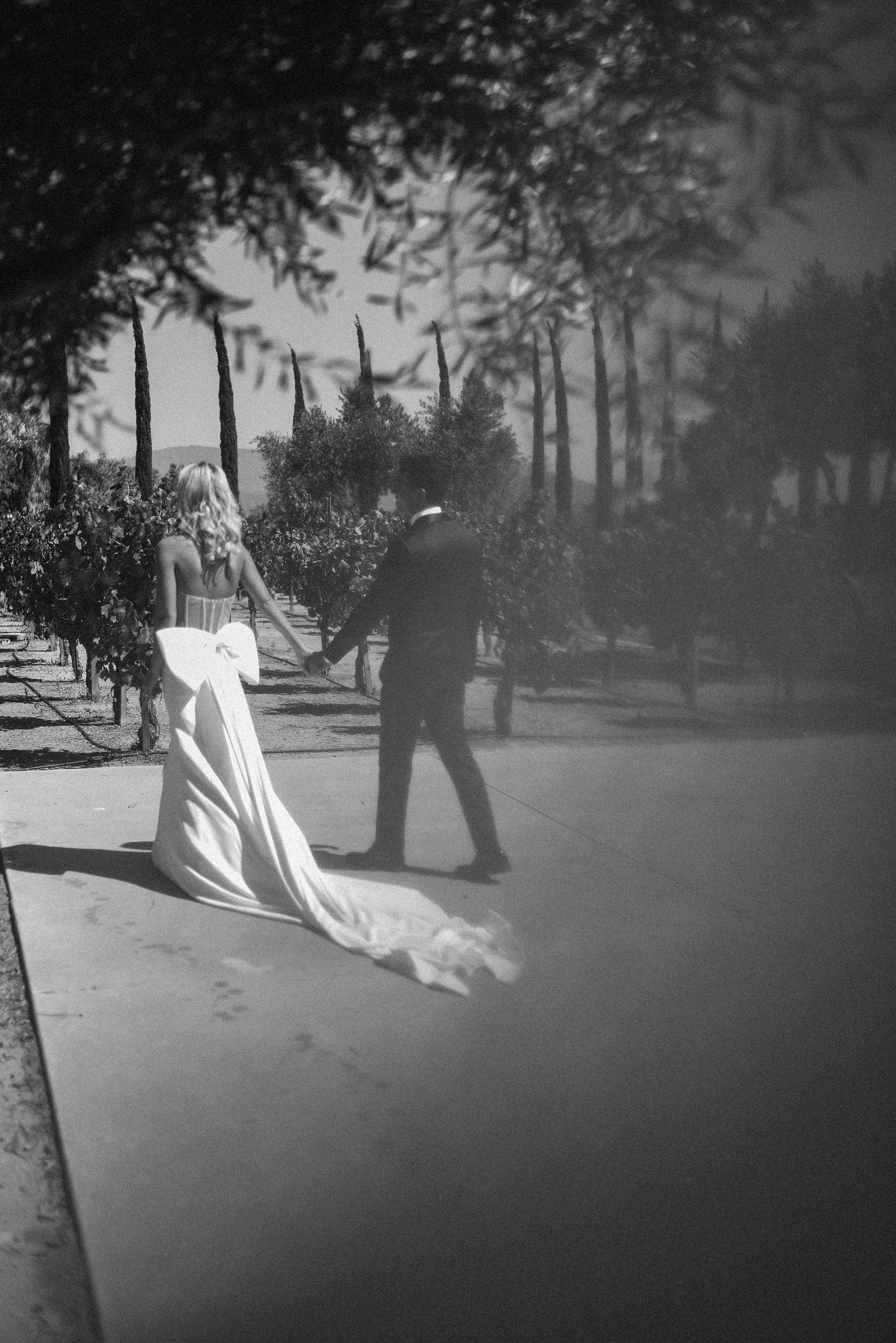 A Classic Summer Wedding at Mount Palomar Winery 8