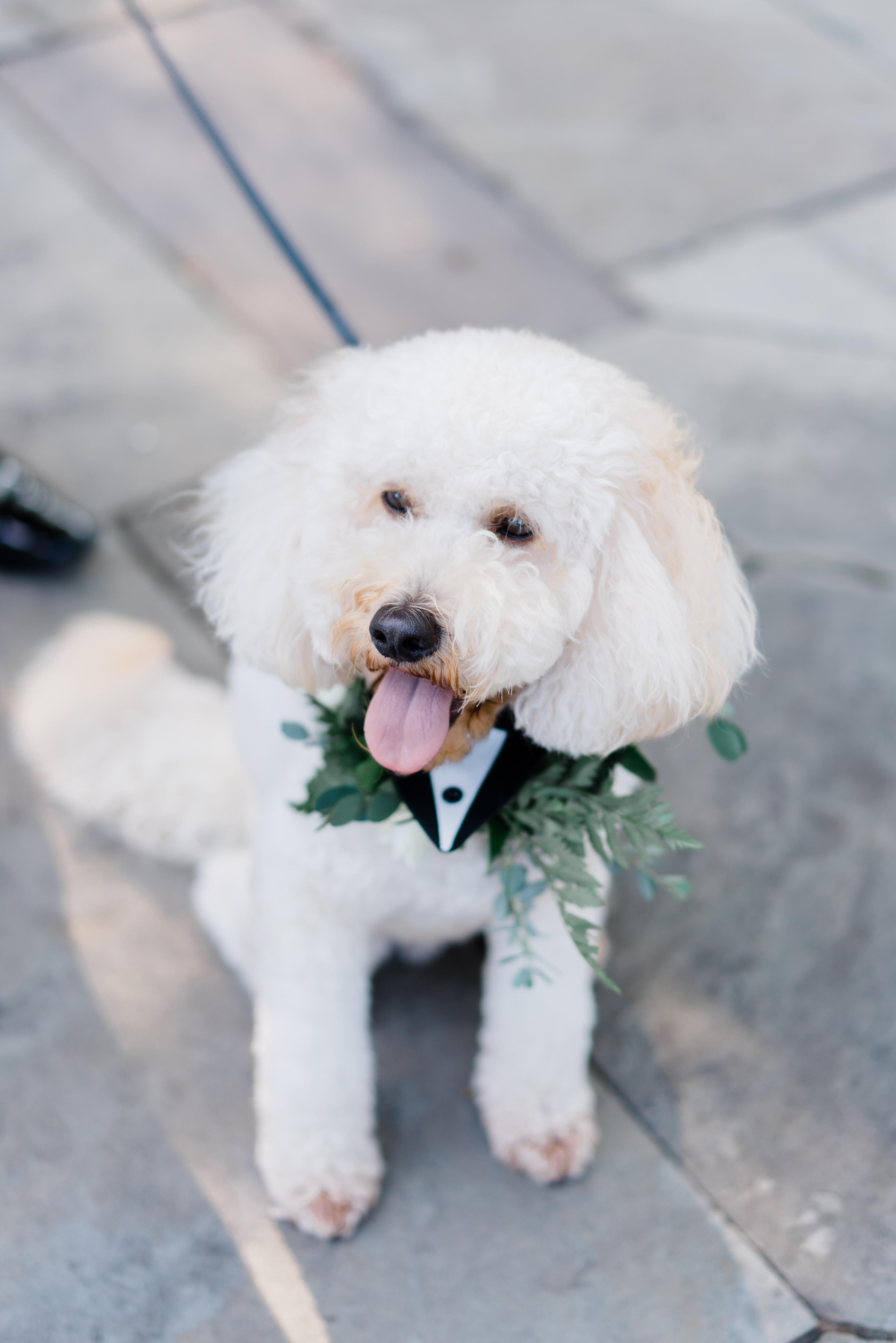 A Romantic Summer Wedding at Curtis Arboretum 2