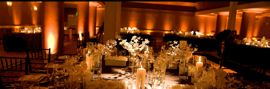 TMMPRO DJ + Lighting Services portfolio 1