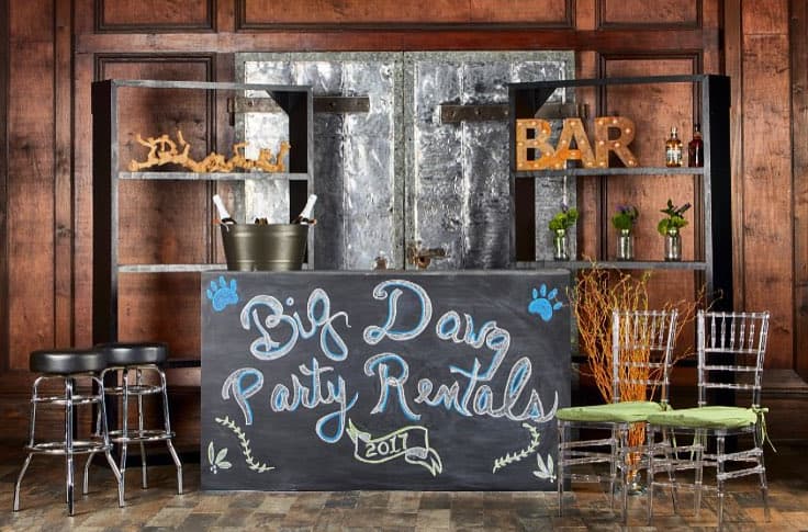 Big Dawg Party Rentals portfolio 4