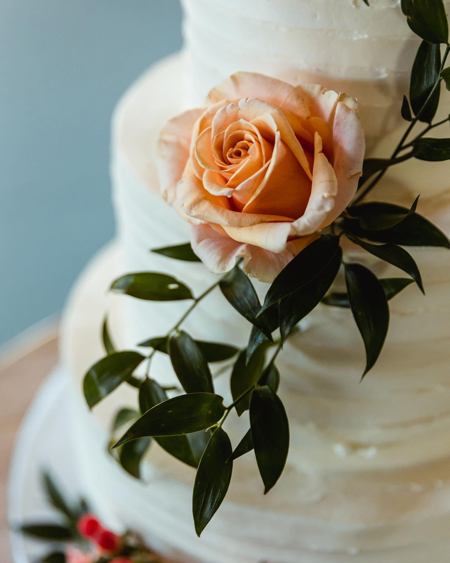 Leanne’s Specialty Cakes portfolio 3
