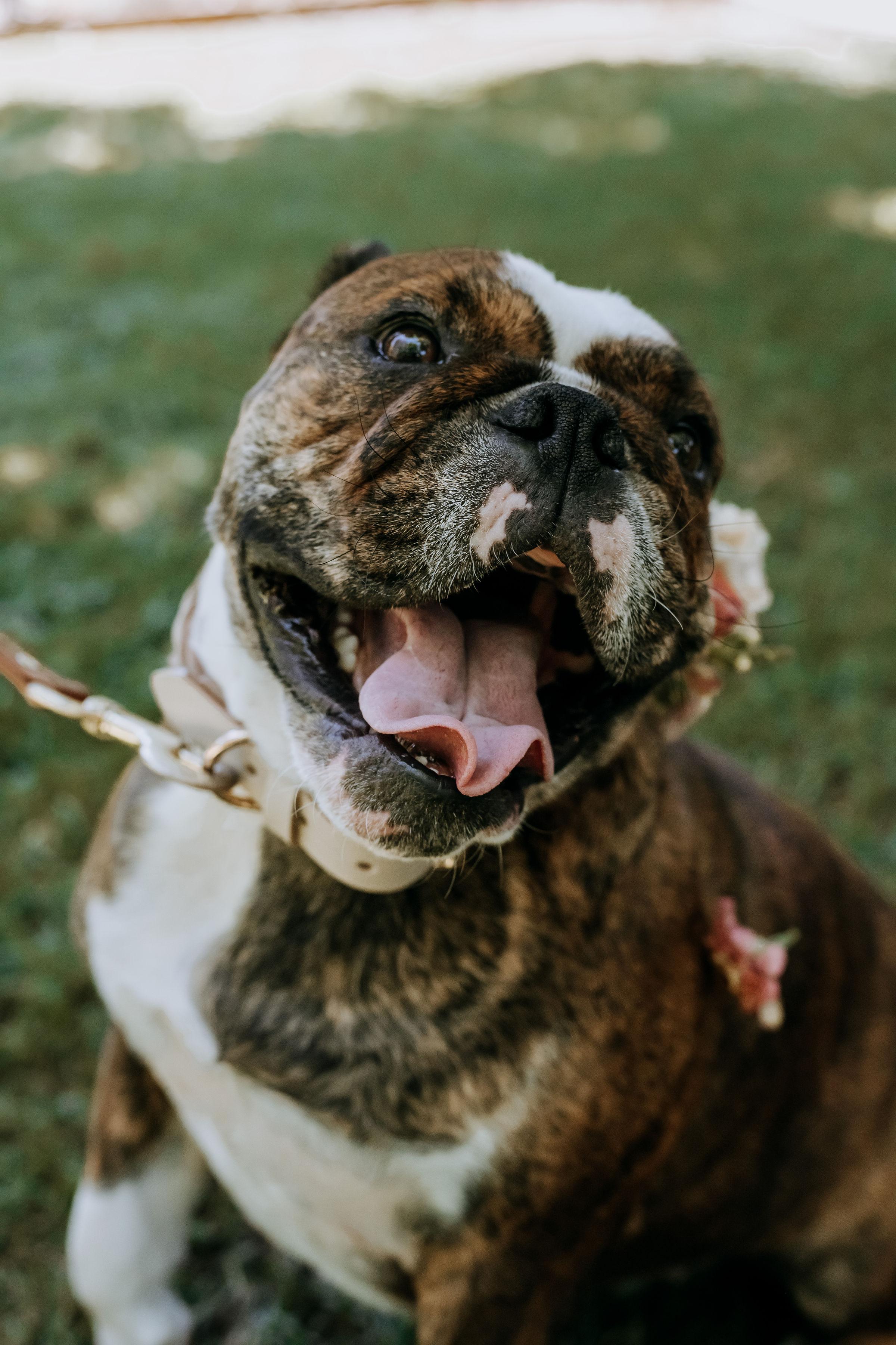 A Whimsical Summer Wedding at Broughton Hall Gardens