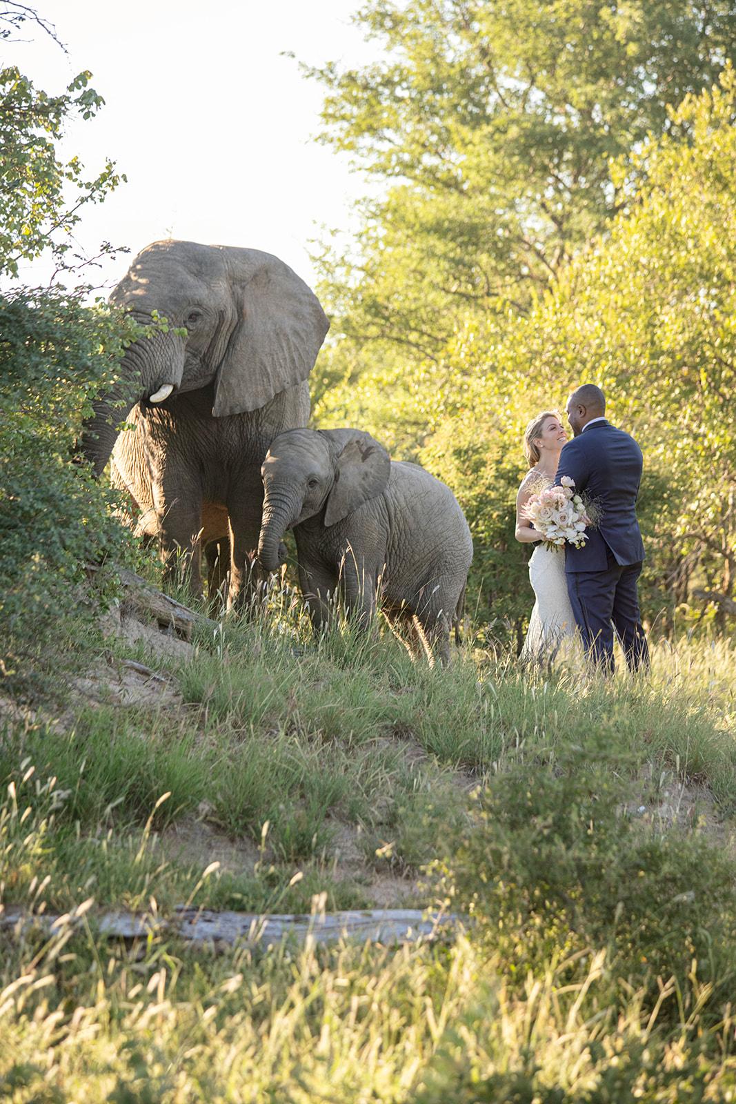 A Romantic Summer Wedding in South Africa photo 5