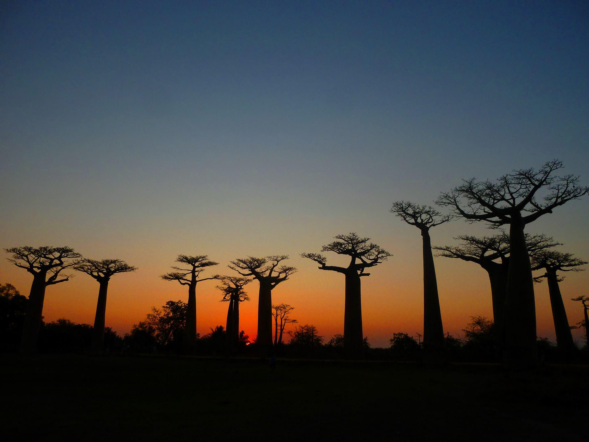Boutique Travel Experts portfolio 3