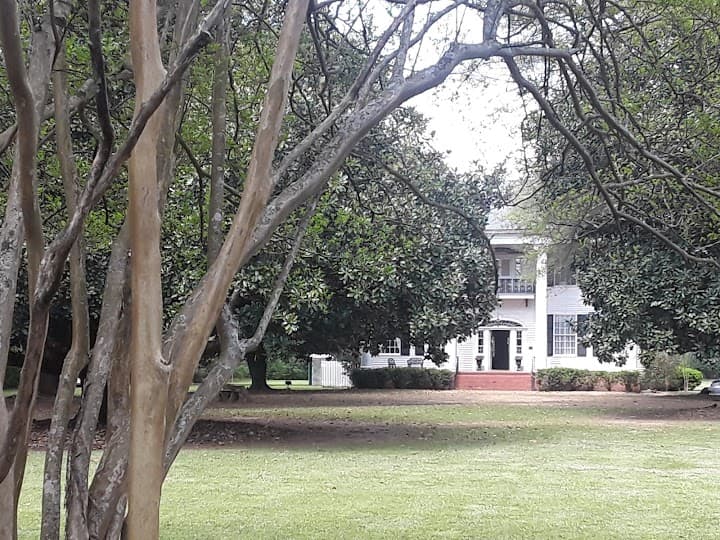 Buena Vista Mansion portfolio 3