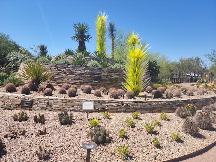 Desert Botanical Garden portfolio 5