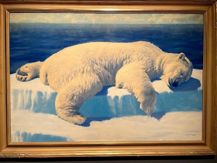 Anchorage Museum portfolio 1