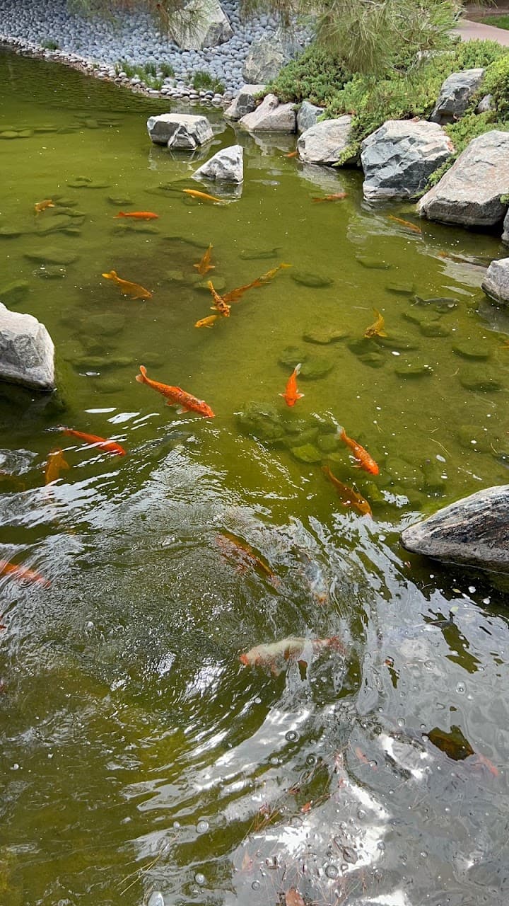 The Japanese Friendship Garden of Phoenix portfolio 2