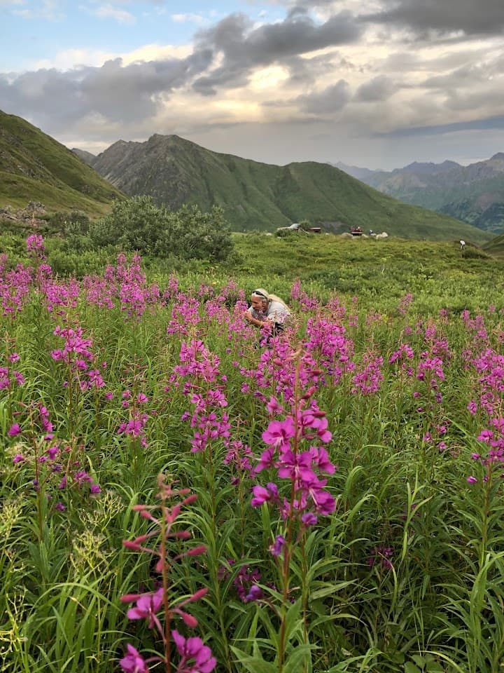 Cusack's on the Kenai portfolio 2